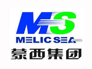 蒙西集團